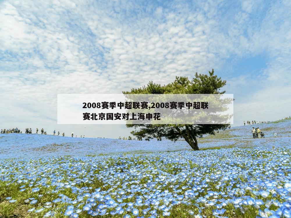 2008赛季中超联赛,2008赛季中超联赛北京国安对上海申花